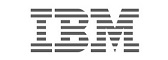 IBM’s InfoSphere Information Governance Catalog